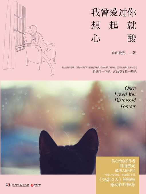 Cover image for 我曾爱过你，想起就心酸（I have loved you, think of the sad)